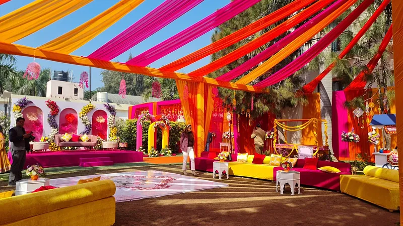 COLOR POP HALDI