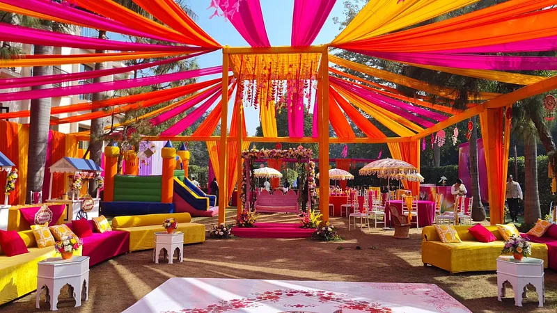 COLOR POP HALDI